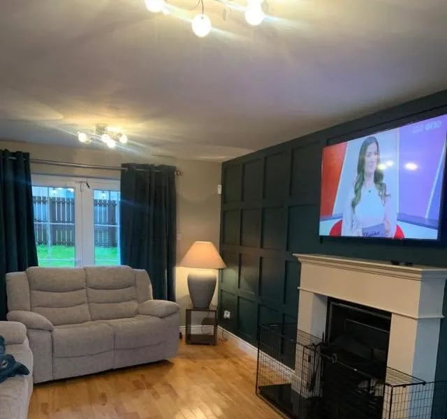 Living room with a panelled feature wall and fireplace